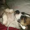 Elena - @elenaaroche46 - TikTok