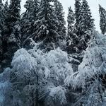 elena - @_elenarohmanina_ - Instagram