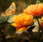 Elena Rohm - Facebook