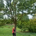Elena Root - Facebook