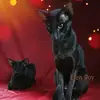 elenaroy35 - @elenaroy35 - TikTok