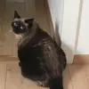 elena.roy - @elena.roy - TikTok