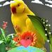 Elena Rueda - Facebook