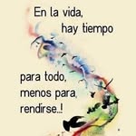 elena Sandoval - @elenasandoval03399 - Instagram