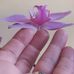 Elena Mirea Sebe - Facebook