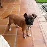Elena Seitz González - @elsegon4 - TikTok