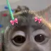 ️elena - @elenasequeira43 - TikTok