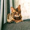 user4278192856797 - @elenashuster - TikTok