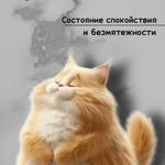Elena Silver - @e.yashchuk1111 - Instagram