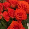 elenasilver13_ - @elenasilver13_ - TikTok