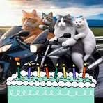 Patricia Elena Silvero Reyes - Facebook