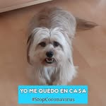 Elena Simoes - @helenas1954 - Instagram