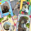 Elena Simons967 - @fly._.friends - TikTok