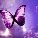 elenasimpson@hotmail.com - @elenasimpsonhotmail.com7108 - Instagram