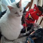 Elena Sinatra - @devilsfan546 - Instagram