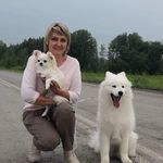 Елена Соболева - @elenasobolevachihamini - Instagram