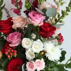 Elena Solorio - Facebook