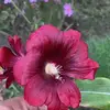 Elena Solorio López - @elena.solorio.lpe - TikTok