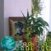 Elena Stanescu - Facebook