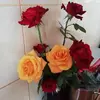 elenastanescu846 - @elenastanescu846 - TikTok
