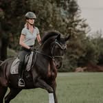 STRONG HORSE - @elena_zimmermann_strong_horse - Instagram