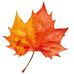 Helena Tobin - Facebook
