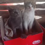 Elena Trejo - Facebook