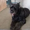 Elena Trejo - @elena.trejo20 - TikTok