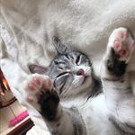 Елена Чупина - @elena_elenaway - Instagram