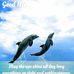 Elaina Whitlock - Facebook