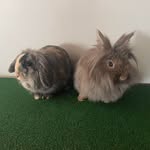 Lena Whitlock - @lenawhitlock569 - Instagram