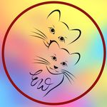 Elena Winter - @ew_katzencoach - Instagram