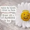 Elena Wise949 - @elenawise949 - TikTok