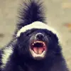 elenawright5456 - @elenawright5456 - TikTok