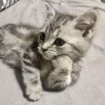 elena - @elena_yon - Instagram