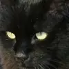 elenichambers - @elenichambers - TikTok