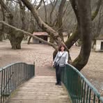 Eleni Cook - Facebook