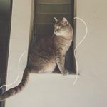 Eleni Dimou - @eledimou_ - Instagram