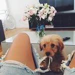 @eleni.moore.0546036 - Instagram