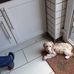Elenora Smith - Facebook