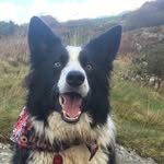 Eleri Jones - @joneseleri - Instagram