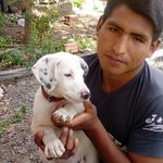 Eleuterio Rocha - @eleuterioviracocha2014 - Instagram