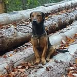 Elfriede Braun - @elfriede_braun1 - Instagram