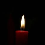 Elham Azizi - @lhm_z - Instagram
