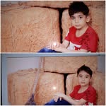 elham.barani - @elham.barani4 - Instagram