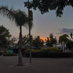 Eli Alaniz - Facebook
