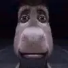 Eli aldridge - @eli_aldridge - TikTok