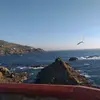 Elialmaraz - @30713158609 - TikTok