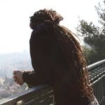Eli Almog - @eag2012 - Instagram