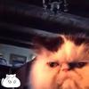 Eli Andersson - @eli.andersson - TikTok